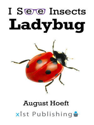 Ladybug