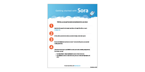 Sora - Getting Started Guide
