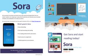 Editable 8.5x11 Sora Informational Flyer – Full Size
