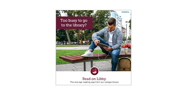 Too busy to go to the library? Read on Libby.