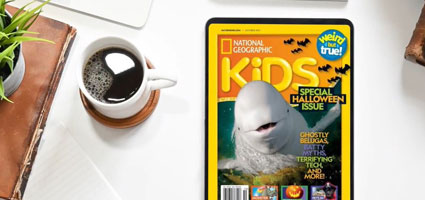 Engage more readers with magazines blog image cap