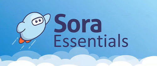 Sora Essentials: The Reader Experience